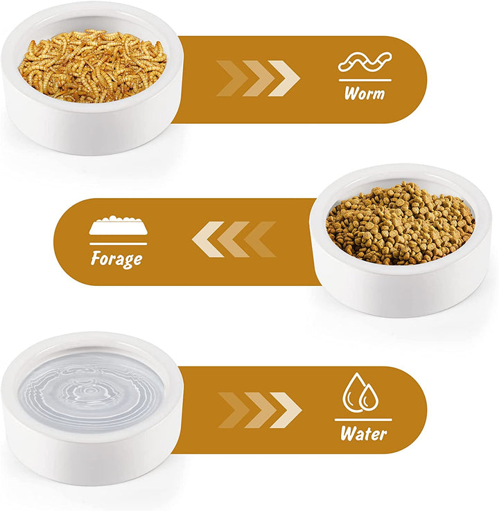 Reptile Food Dish Bowl, Worm Water Dish Small (2.75In) Lizard Gecko Ceramic Pet Bowl, Mealworms Bowls for Leopard Bearded Dragon Chameleon Hermit Crab Dubia Cricket Anti-Escape Superworm Feeder 2 Pack