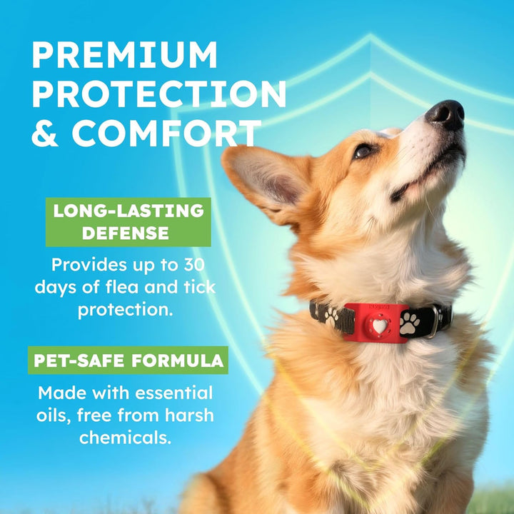 Paw Guardian Refill, Plant-Powered Flea & Tick Protection Tablets, 3 Count, 30-Day Protection, Natural Essential Oil Formula