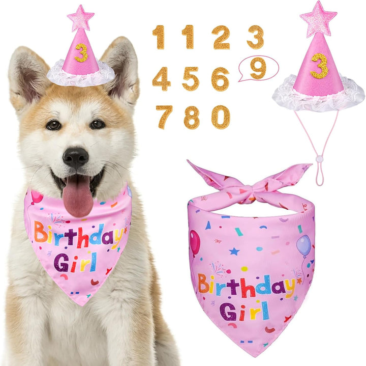 Dog Birthday Party Supplies, Dog Birthday Bandana Set, Dog Boy Girl Birthday Party Hat with Numbers for Large Medium Small Dogs Pet (Blue)