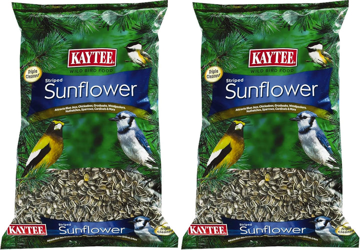 Striped Sunflower Seeds for Blue Jays, Woodpeckers, Finches & Other Wild Birds, 5 Pounds