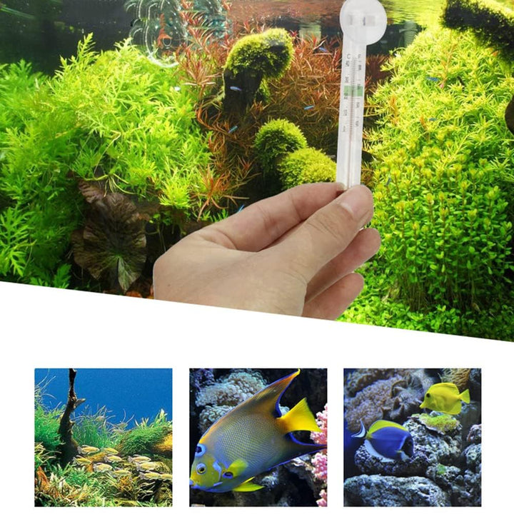 LABO Floating Aquarium Thermometer – Glass, Mercury-Free Fish Tank Thermometer, Safe Thermometer for Fish Tank, Ideal for Freshwater and Saltwater Aquariums