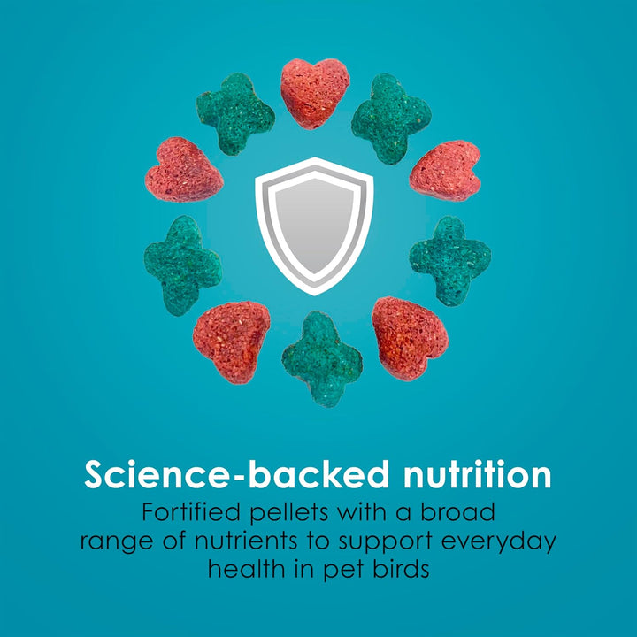 Forti-Diet Pro Health Nourish+Protect Conure & Lovebird Food, Comprehensive Nutrition Backed by Science, Digestive Health, Immune Support, 4 Pounds