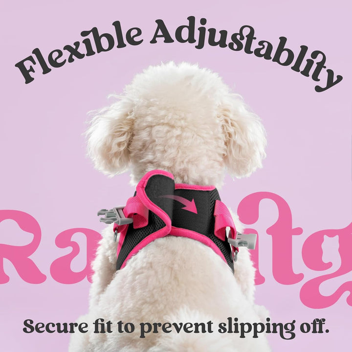 Dog Harness Small Sized and Leash Set, Step-In Breathable Pet Harness, Soft Walking Reflective Puppy Vest for Small Dogs, Black & Rose Red, S