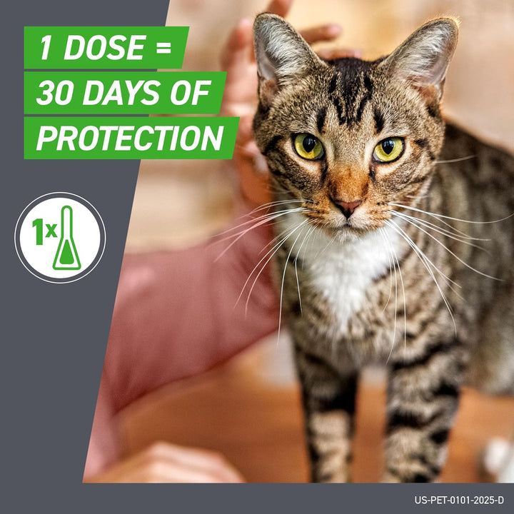 plus Flea and Tick Treatment for Cats over 1.5 Lbs. 3 Treatments