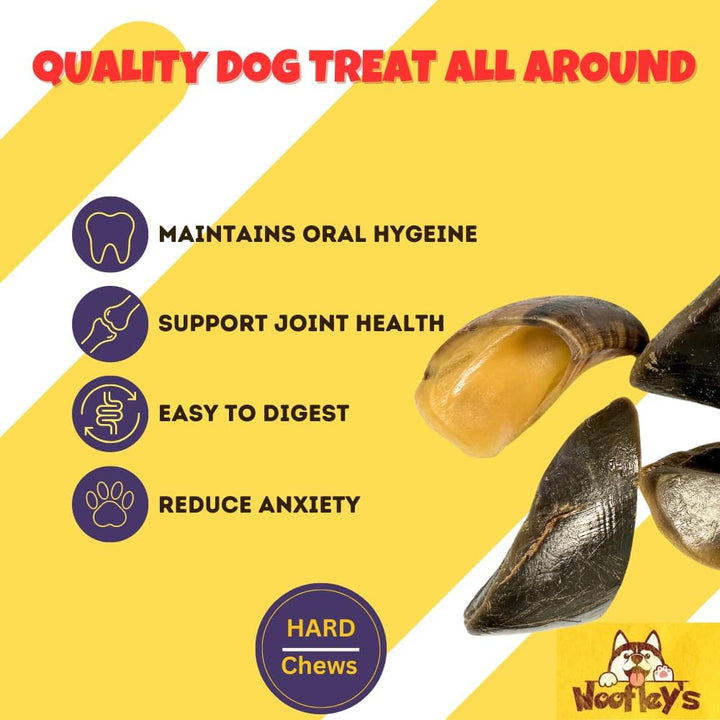 - Cow Hooves for Dogs (50 Count) - Safe Cow Hoof Dog Chews -Fed Cattle - Best Natural Alternative to Rawhide