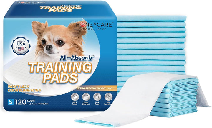 All-Absorb, Small 17.5" X 23.5", 120 Count, Dog and Puppy Training Pads, Ultra Absorbent and Odor Eliminating, Leak-Proof 5-Layer Potty Training Pads with Quick-Dry Surface, Blue, A05