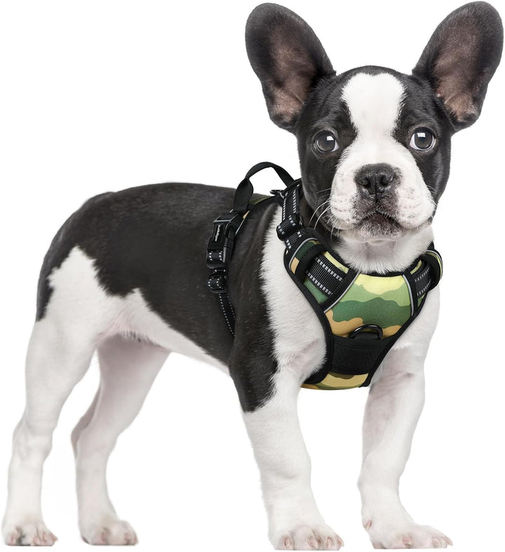 Dog Harness No Pull with 2 Leash Clips, Adjustable Soft Padded, Reflective Oxford No Choke Pet Vest with Easy Control Handle for Large Dogs, Black, L