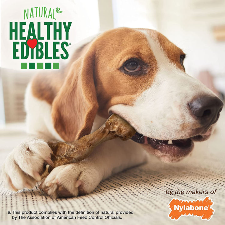 Healthy Edibles WILD Natural Long-Lasting Bison Flavor Bone Chew Treats for Dogs, Medium (2 Count)