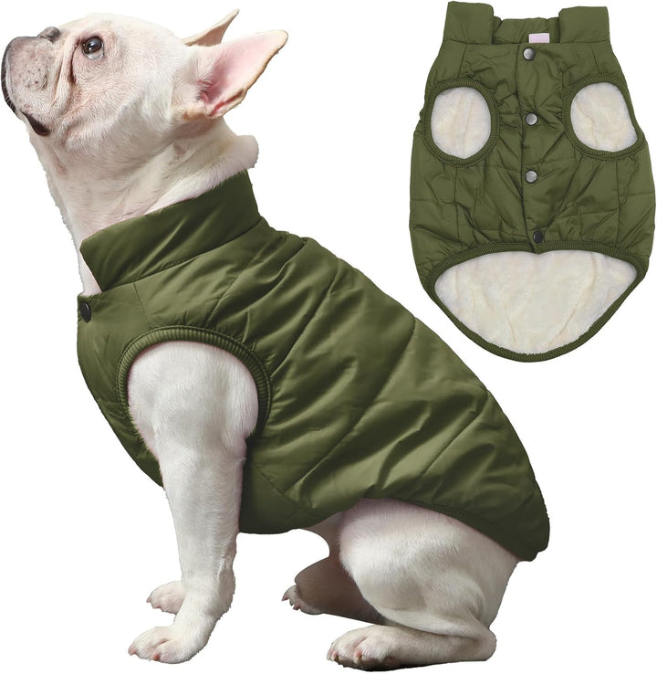 2 Layers Fleece Lined Warm Dog Jacket for Puppy Winter Cold Weather,Soft Windproof Small Dog Coat,Green S