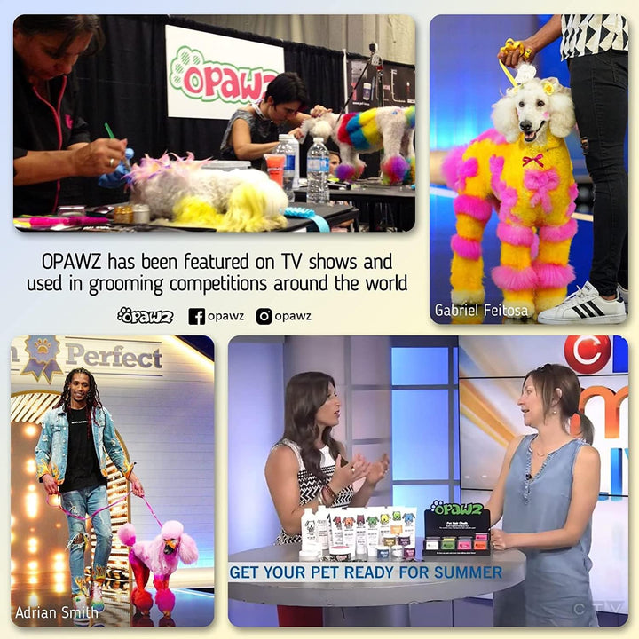 Permanent Dog Hair Dye, Pet Hair Dye Safely Used by Grooming Salons for a Decade, Pet Safe Dye Lasts over 20 Washes, Bright Color for Dogs and Horses (Adrian Pink)