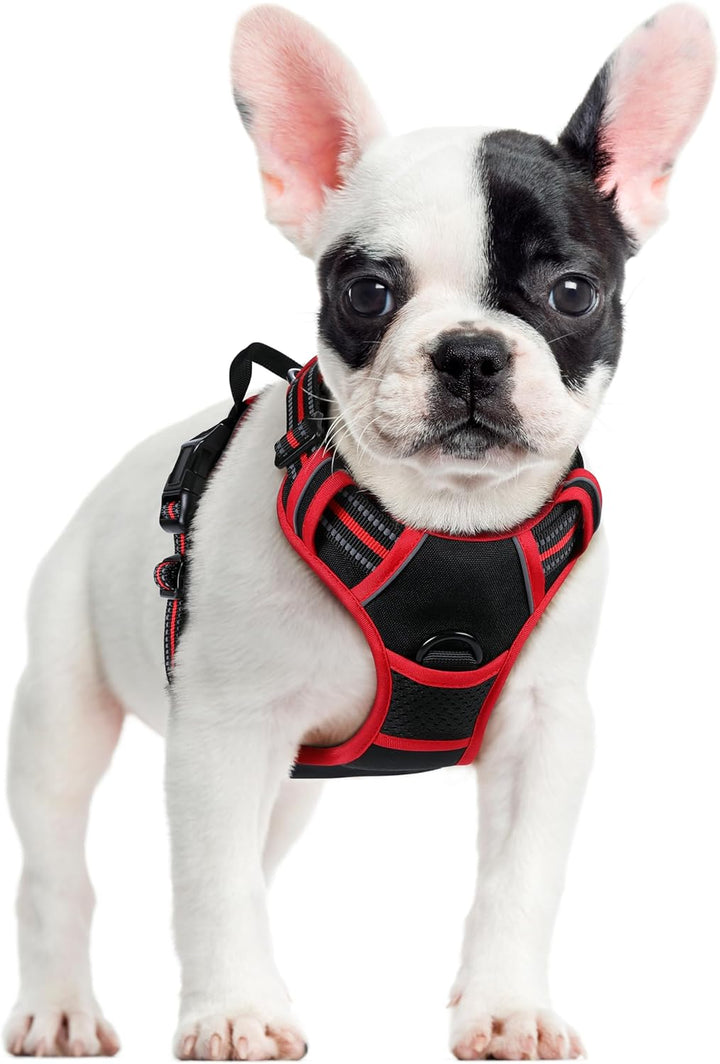 Dog Harness No Pull with 2 Leash Clips, Adjustable Soft Padded, Reflective Oxford No Choke Pet Vest with Easy Control Handle for Large Dogs, Black, L