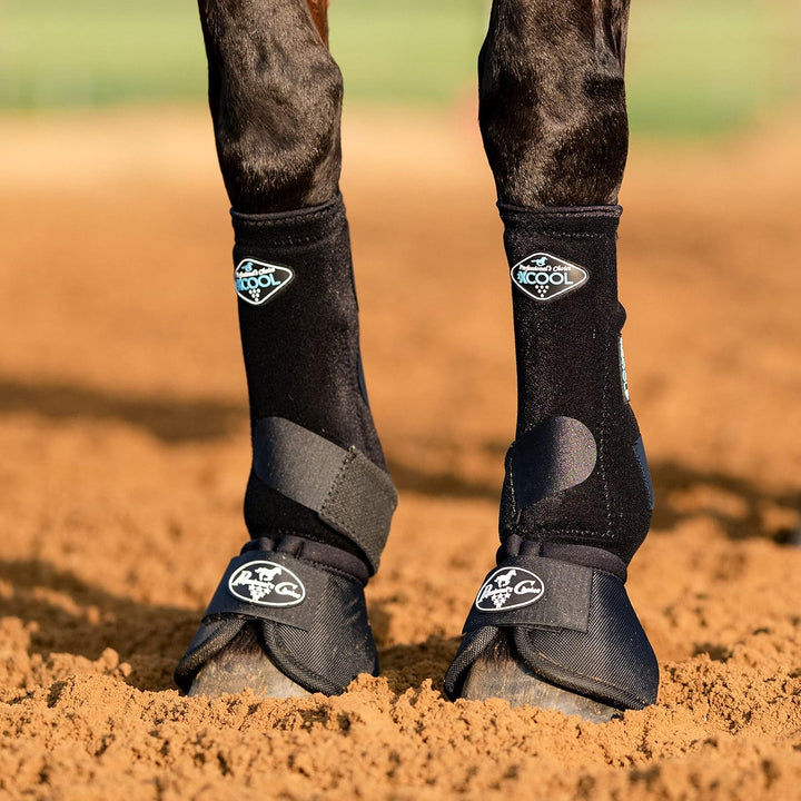 Ballistic Overreach Bell Boots for Horses | Superb Protection, Durability & Comfort | Quick Wrap Hook & Loop