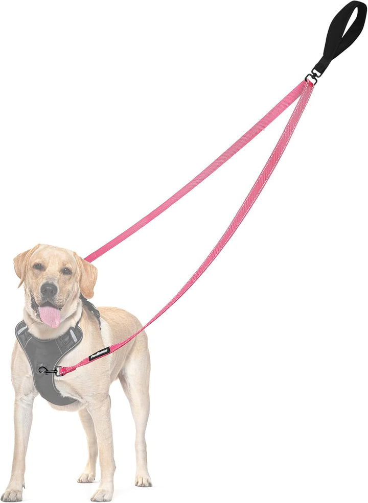 Two Point Control Dog Leash, Works with No Pull Harnesses, No Tangle Training Leashes, Soft Padded and Reflective Walking Lead, Converts to Single Lead for Medium Large Dogs (Black)