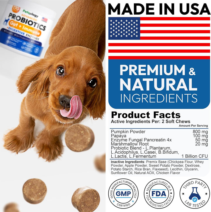 Probiotics for Dogs - 170 Dog Probiotics Chews - Digestive Enzymes & Prebiotics - Support Gut Health, Diarrhea, Gas & Constipation Relief - Itchy Skin, Allergies, Yeast Balance - Advanced Supplement