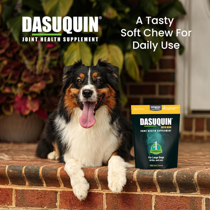 Dasuquin with MSM Soft Chews, Large Dog, 150 Count, Brown
