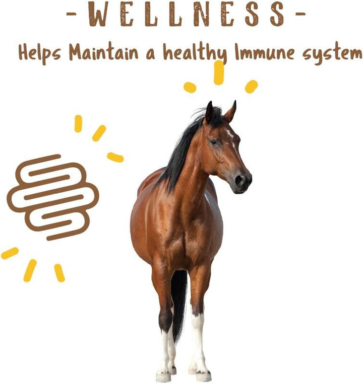 Simply Flax for Horses – Omega-3 Rich Flaxseed Supplement – Supports Coat Health, Joint Function & Immune System – Natural Source of Essential Fatty Acids – Ground Flax – 8 Lb Bag