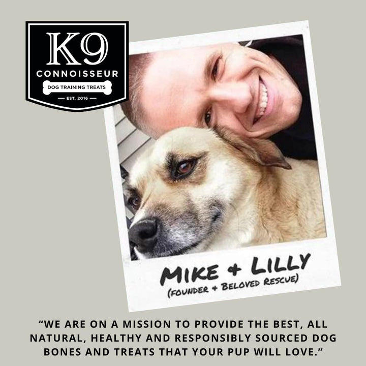 Beef Marrow Large Dog Bones Long Lasting for Aggressive Chewers - USA Made Single Ingredient Champ Bones for Large Dogs over 50 Pounds - 3 Pack