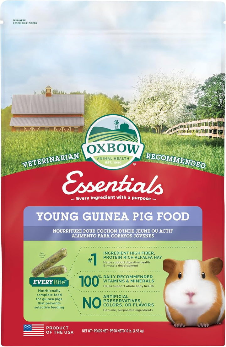 Essentials Guinea Pig Food, Adult Guinea Pig, Made with  Timothy Hay, Pet Food Pellets with Vitamin C, Small Animal Pet Products, Made in USA, High Fiber, 5 Lb. Bag