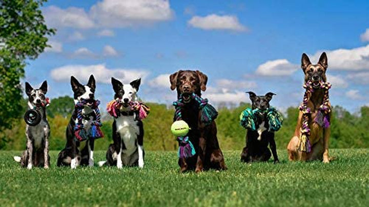 Mammoth Flossy Chews Rope Tug – Premium Cotton-Poly Tug Toy for Dogs – Interactive Rope Toy (Colors May Vary)