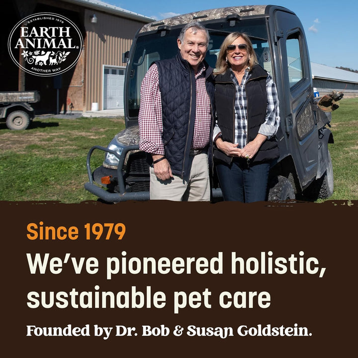 No Hide Small Long Lasting Dog Chew Rolls, Chicken - 6 Count